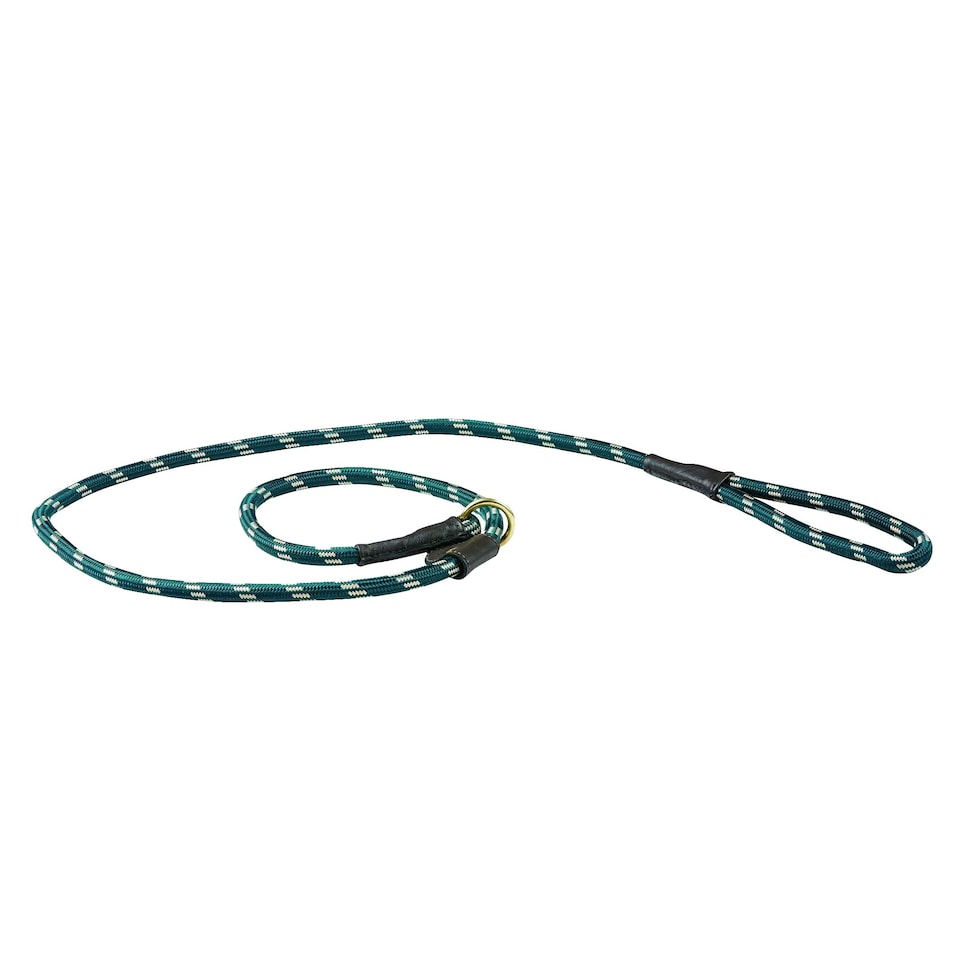 image 1 of Weatherbeeta Rope Leather Slip Dog Lead - Hunter Green/Brown - 1.8m