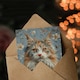 image 3 of Cat Lover Fluffy Maine Coon Retro Floral Pattern Her Birthday Card