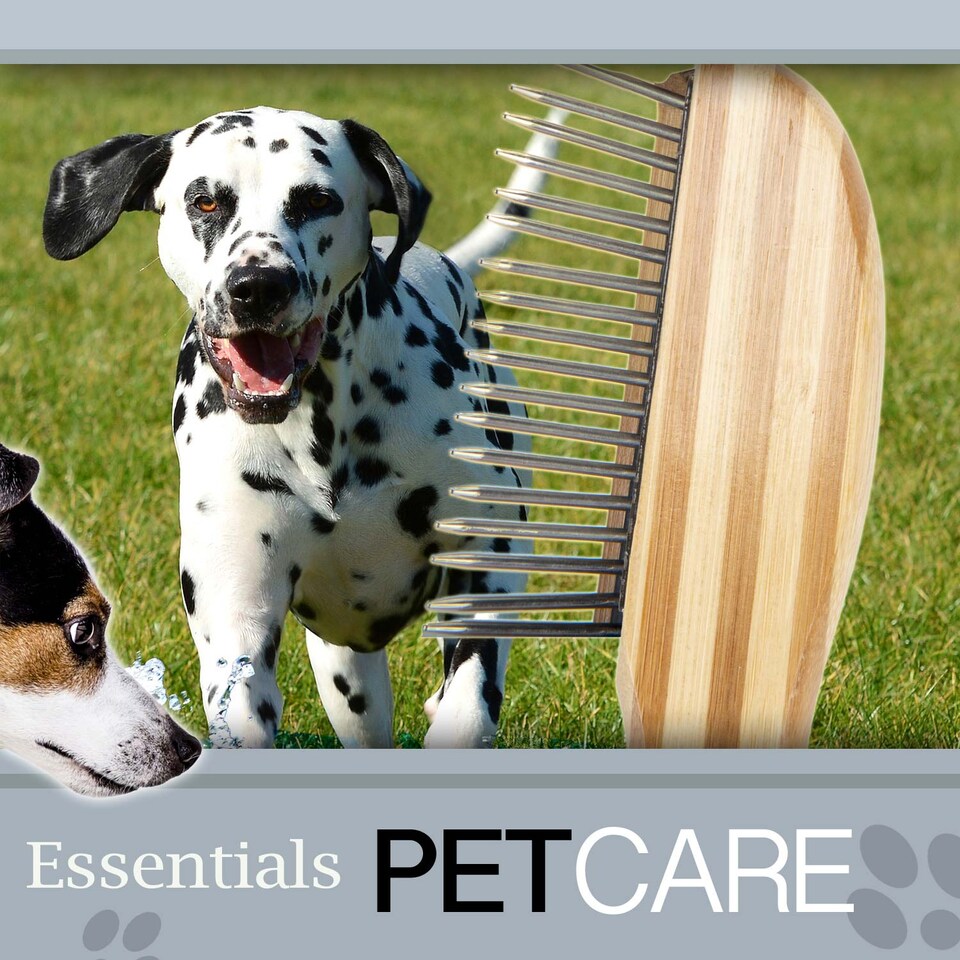 image 1 of PMS Crufts Bamboo Grooming Comb - 21.2cm x 5.5cm x 1.65cm