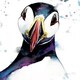 image 2 of Puffin Wildlife Greeting Card - By Artist Lizze Grant