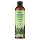 image 4 of Vitax Organic House Plant Feed, 250ml