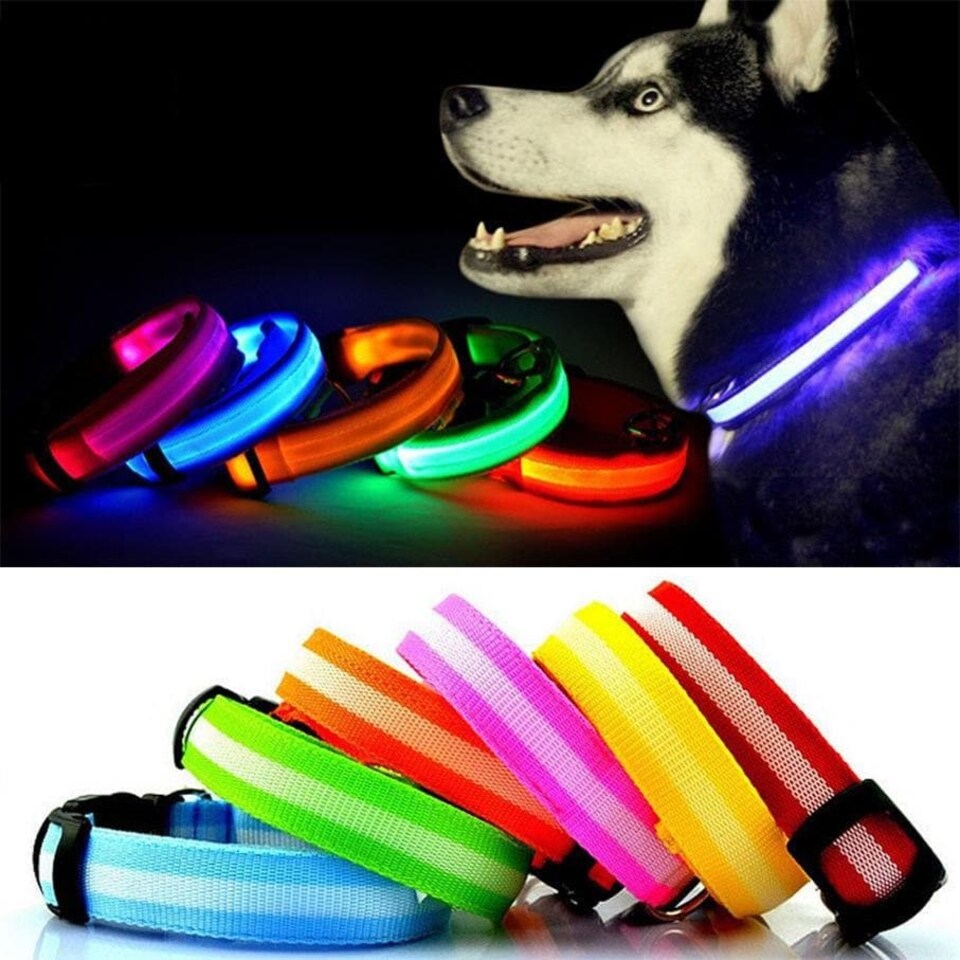 image 1 of Light Up Dog Collar - LED - Bunty Pink | M