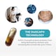 image 5 of AVEA Biomind Probiotic & Brain Health Supplement (30 Capsules) - 30 Billion CFU Probiotic Supplement With Vitamin B12, Panax Ginseng & Vitamin B6 - Targets Brain Fog & Gut Health - Vegan Friendly