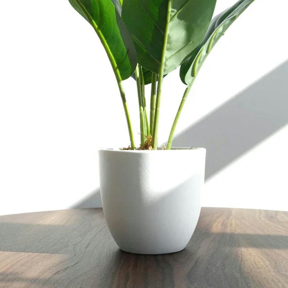 image 1 of 45cm Artificial Aureum Plant
