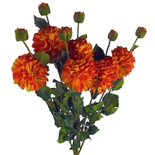Pegdev Pack of 6 Orange Dahlia PomPom Stems 75cm Silk Flowers