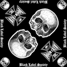 Stormtroopers of Death Pin Badge: Sgt. D - N/A