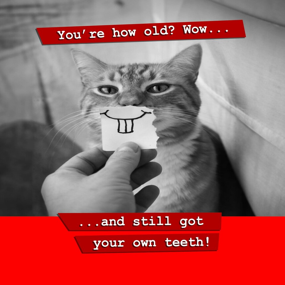 image 1 of You're How Old? Cat Birthday Card