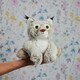 image 2 of Warmies Plush Bobcat Microwavable Weighted Teddy