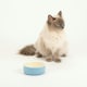image 3 of Scruffs Classic Food Bowl 13cm Blue Blue