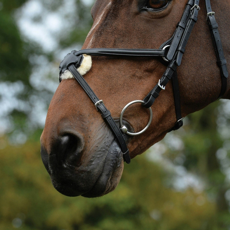 image 1 of Collegiate Comfitec Grackle Leather Horse Bridle - Black - Cob