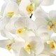 image 2 of Artificial Orchid Large White Silver 52cm