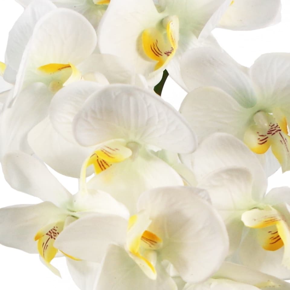 image 1 of Artificial Orchid Large White Silver 52cm