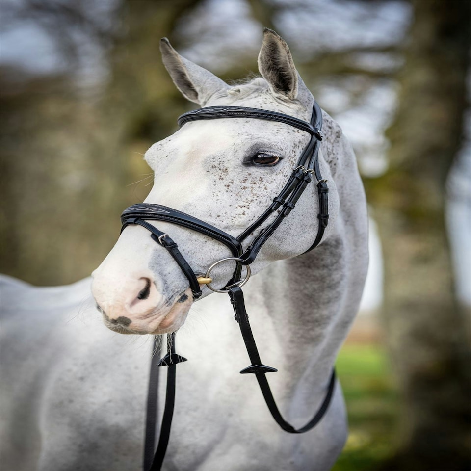 image 1 of LeMieux Competition Flash Bridle Black | X-Full