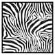 image 2 of Zebra animal print (Picture Frame) Brown | XL
