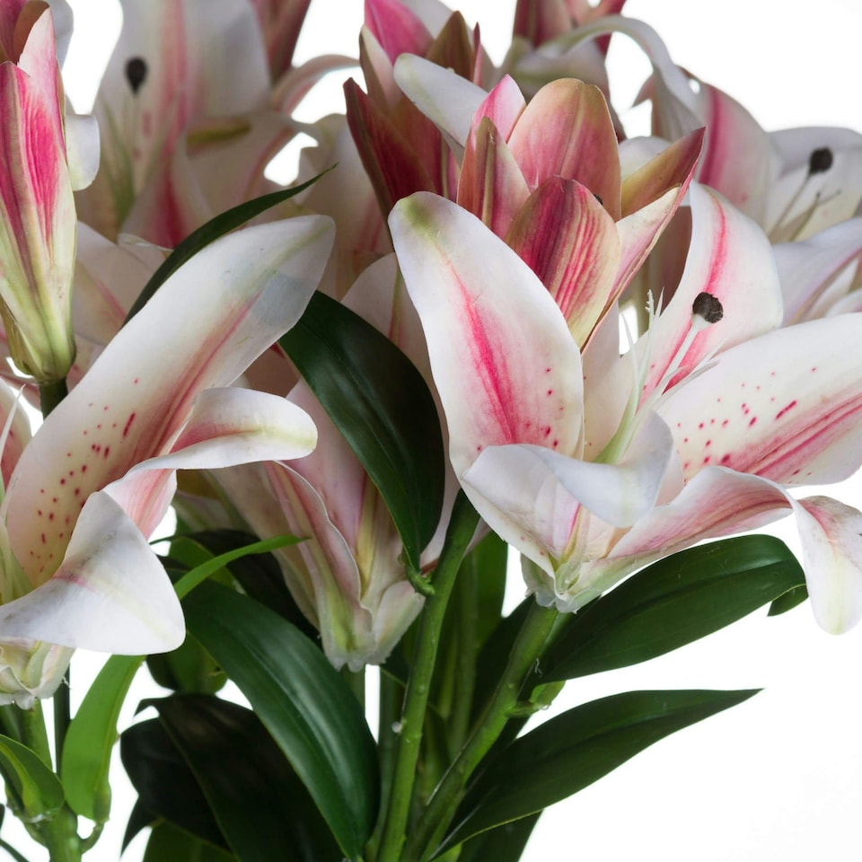 image 1 of Hill Interiors Stargazer Lily Artificial Flower (Pack of 1) - White/Pink - One Size