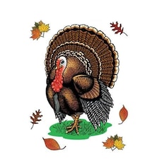 Happy Thanksgiving Turkey Clings - 15 Inches / 38cm
