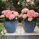 image 2 of Large Glazed Effect Planter Garden Patio Outdoor Plastic 39.5cm (x2)