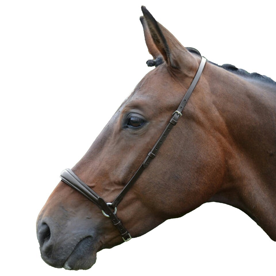 image 1 of Hy Padded Drop Nose Band - Brown - Cob