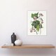 image 4 of Black and Yellow Warblers Audubon Nature Wall Art Poster Print 12X16"