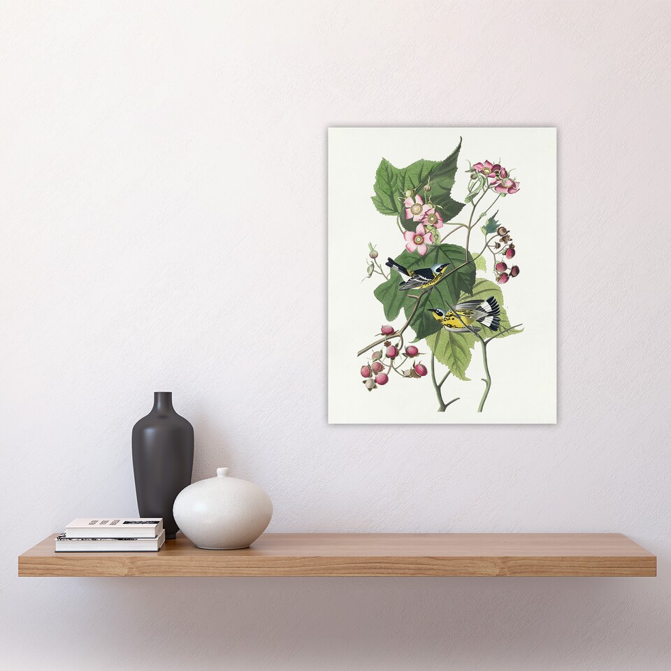 image 1 of Black and Yellow Warblers Audubon Nature Wall Art Poster Print 12X16"