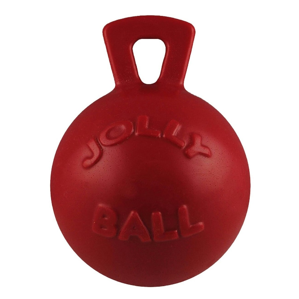 Jolly Pets Tug-n-Toss Dog Toy - Red - 6 inches