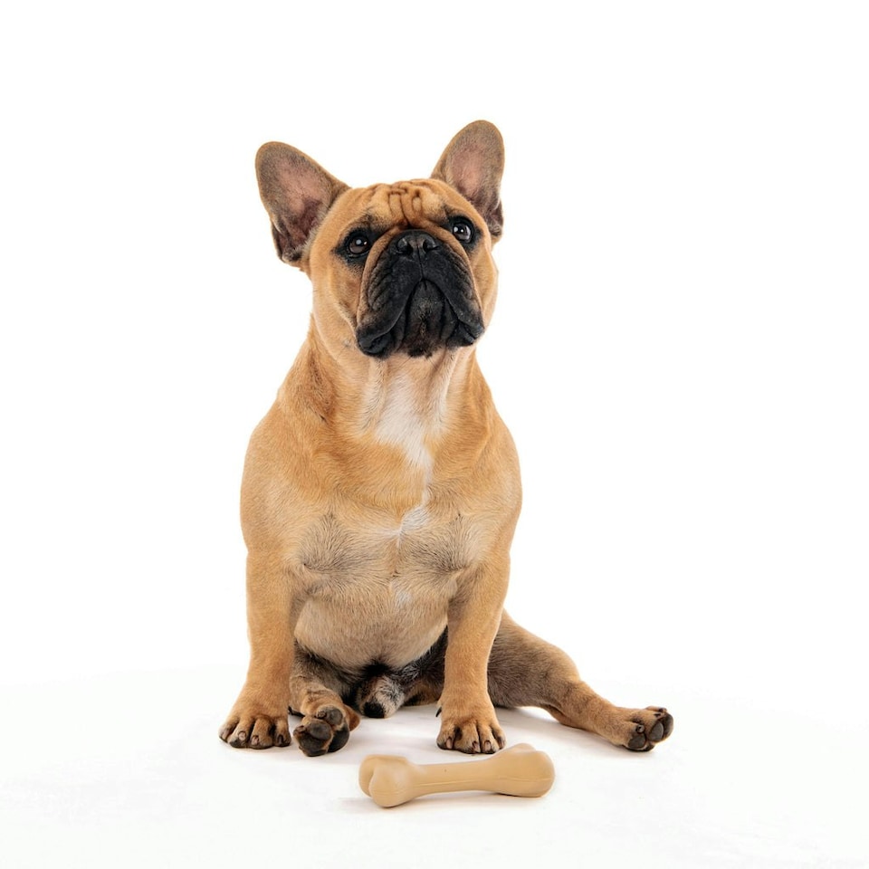 image 1 of M-PETS GREENBO Natural Rubber Bones - Small