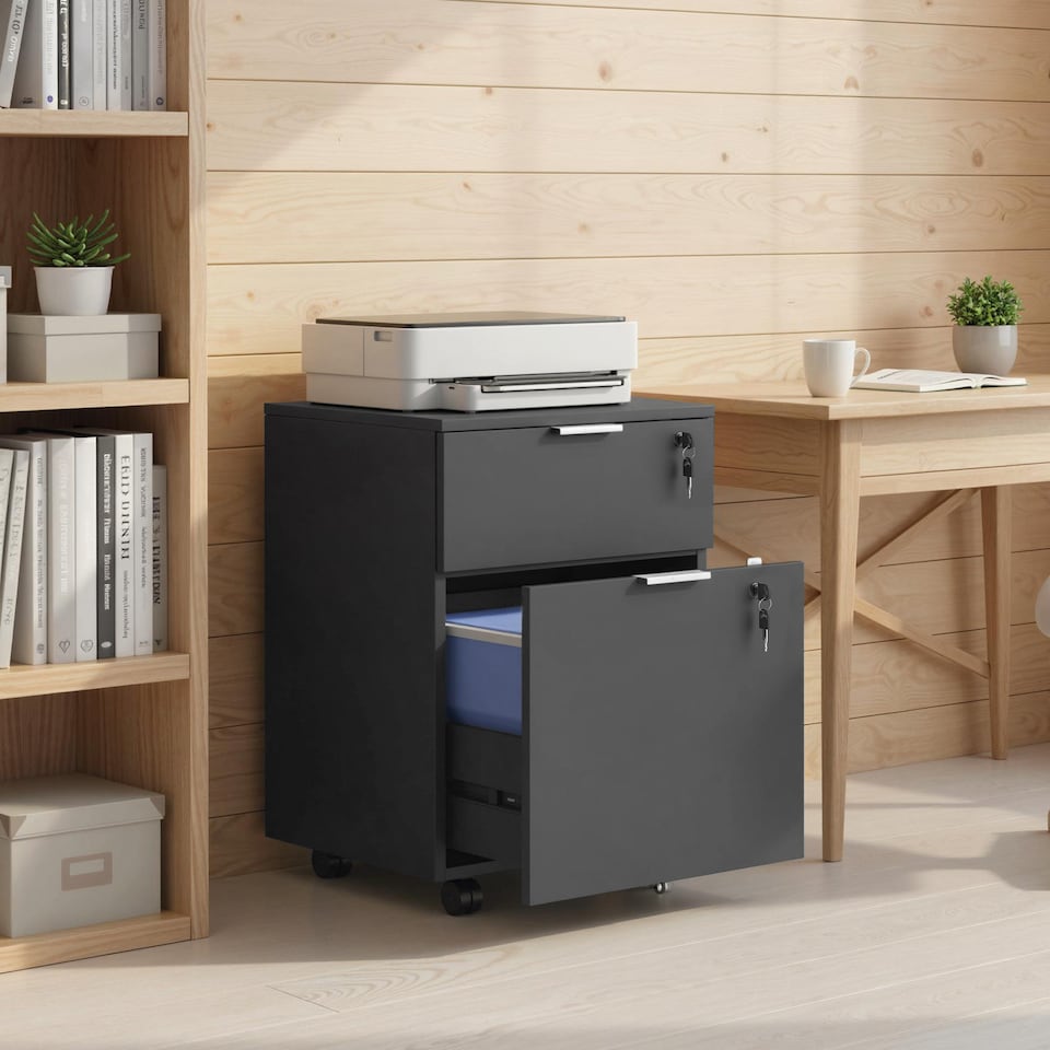 image 1 of HOMCOM 2 Drawer Filing Cabinet with Adjustable Hanging Bars for A4 and Letter
