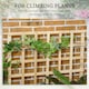 image 3 of Outsunny 3 Tier Wooden Garden Planters with Trellis for Vine Climbing Plants