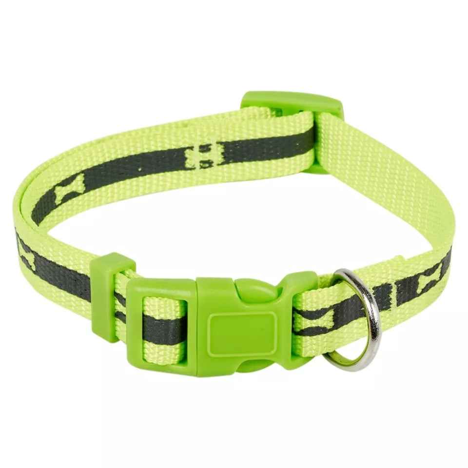 image 1 of Small Nylon Adjustable Dog Collars - 25cm - 40cm | Green | Not provided | 1