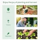 image 6 of Outsunny 200x76x168cm Walk-in Garden Greenhouse Plant Warm House
