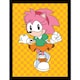 image 1 of Sonic The Hedgehog (Amy Rose) Framed 30x40cm Print