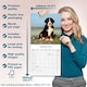 image 6 of Bernese Mountain Dog 2026 Calendar | Square Wall Calendar | Dog Breed Gift | Plastic Free Packaging | by Avonside Publishing