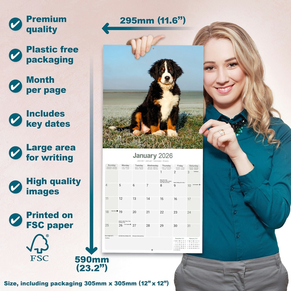 image 1 of Bernese Mountain Dog 2026 Calendar | Square Wall Calendar | Dog Breed Gift | Plastic Free Packaging | by Avonside Publishing