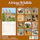 image 2 of African Wildlife 2026 Calendar | Square Wall Calendar | Animal Gift | Plastic Free Packaging | by Avonside Publishing