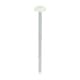 image 1 of Timco - Polymer Headed Nails - A4 Stainless Steel - Cream (Size 65mm - 100 Pieces)