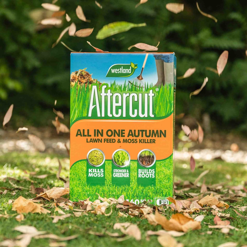 image 1 of Aftercut All-in-One Autumn Lawn Feed and Moss Killer 0.1 kg