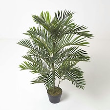 Homescapes Areca Palm Tree in Pot, 120 cm Tall