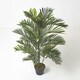 image 1 of Homescapes Areca Palm Tree in Pot, 120 cm Tall