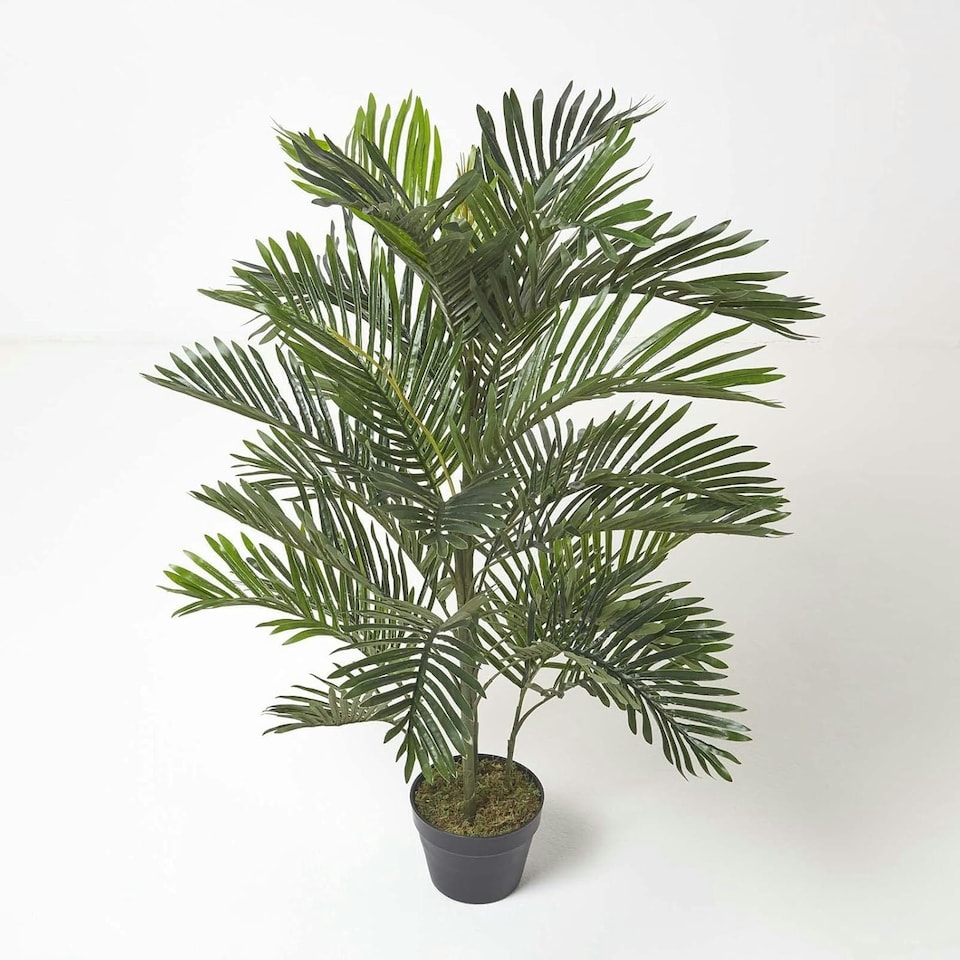 image 1 of Homescapes Areca Palm Tree in Pot, 120 cm Tall