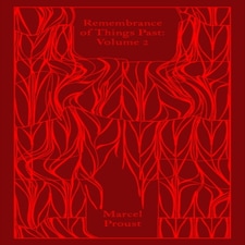 Remembrance Of Things Past Volume 2