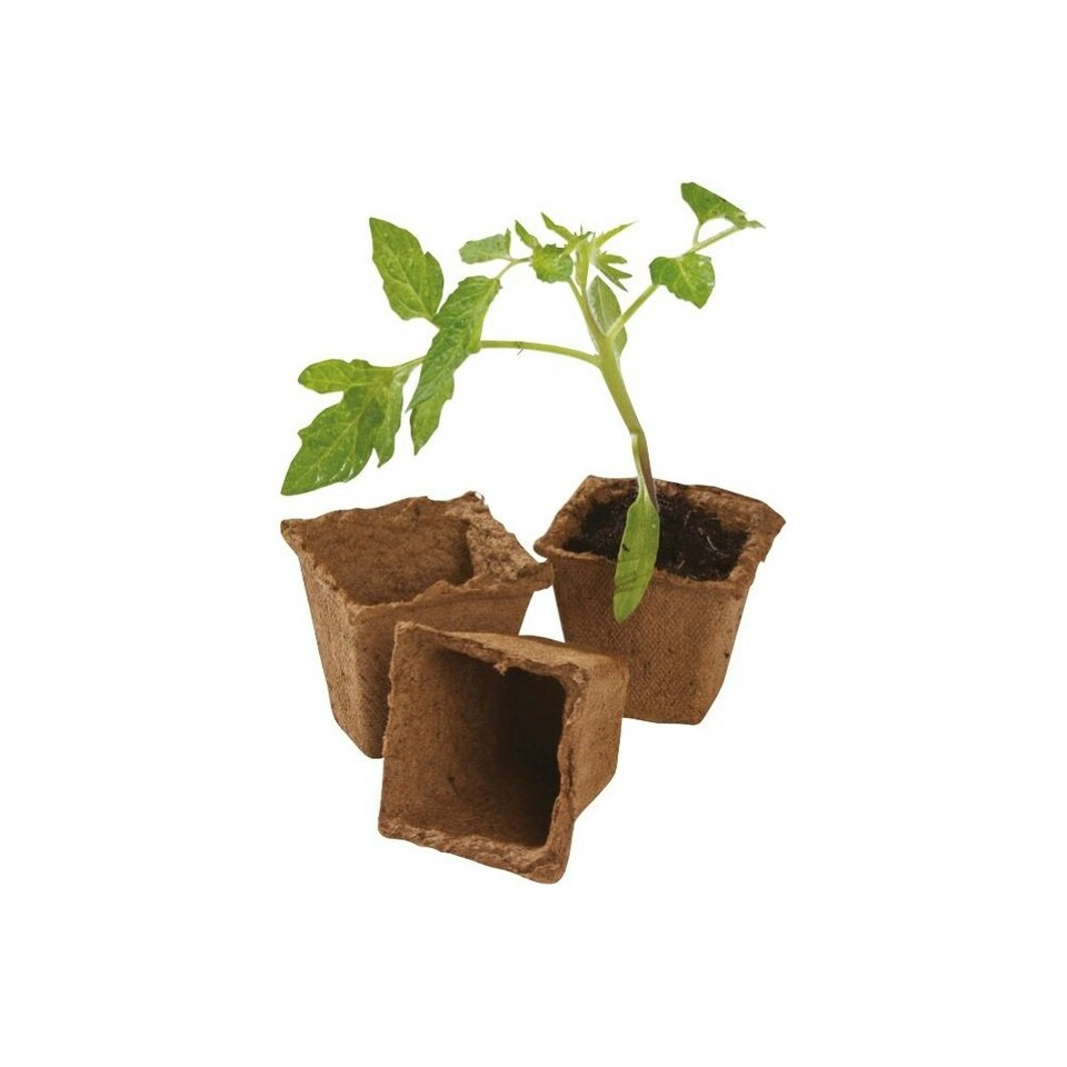 image 1 of Garland Fibre Pots Square 6cm Natural Wood Biodegradable Pack of 20 Brown