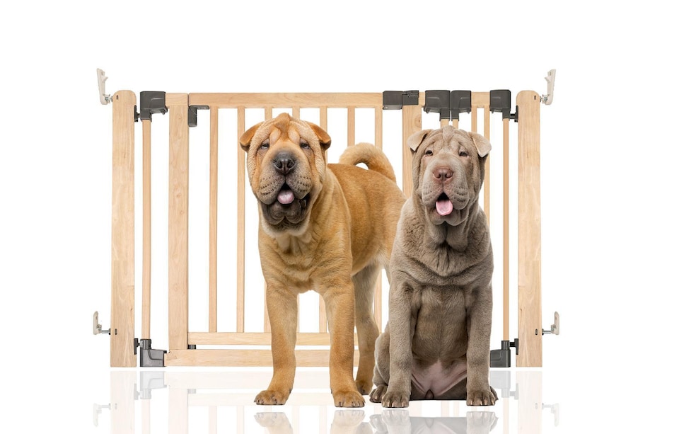image 1 of Bettacare Wooden Multi Panel Flexible Pet Barrier, Natural Wood, up to 116cm Wide, Dog Barrier for Pets Dogs and Puppy Cream | Natural