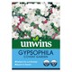 image 1 of Gypsophila Covent Garden | Multi | White | Flower Seeds | 1