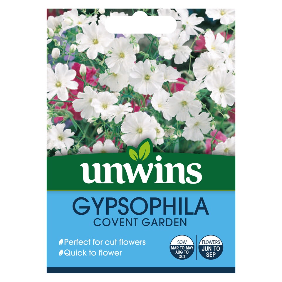 image 1 of Gypsophila Covent Garden | Multi | White | Flower Seeds | 1