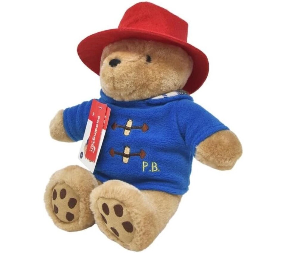 image 1 of Paddington Bear Rainbow Designs Plush Cuddly Soft Toy Small Kids Gift