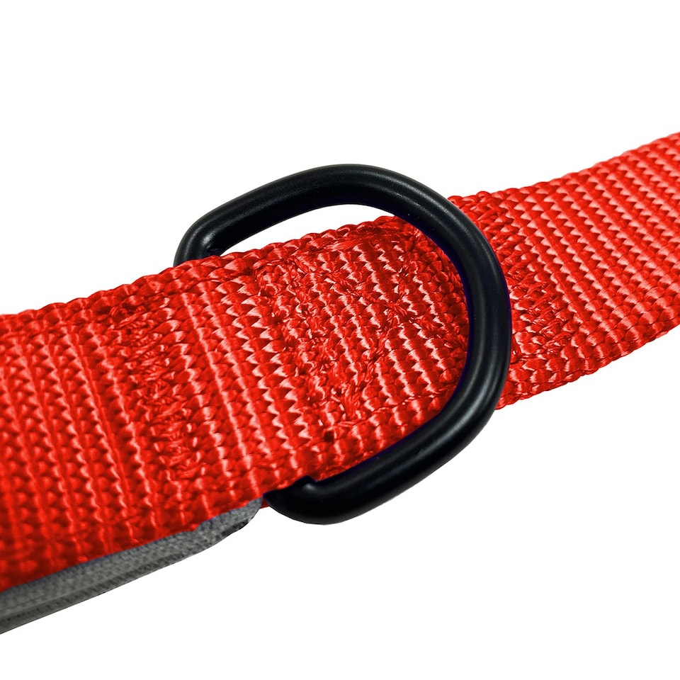 image 1 of HugglePets Padded Nylon Weatherproof Dog Lead Red