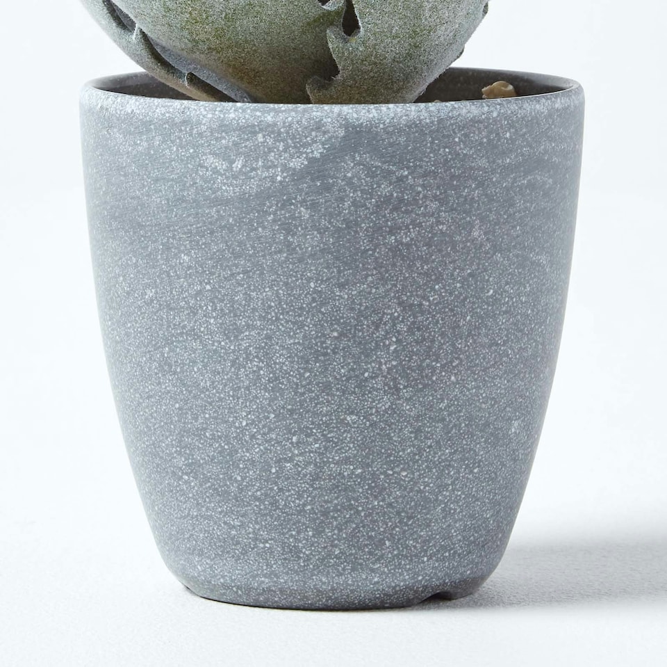 image 1 of Homescapes Purple and Green Aloe Vera Artificial Succulent in Grey Pot, 21 cm Tall