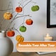 image 7 of Marco Paul Pack of 7 Plush Pumpkin Autumn Decor