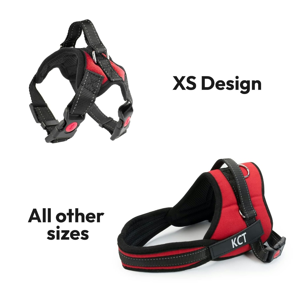 image 1 of KCT Extra Small Red Padded Dog Harness Red | XS