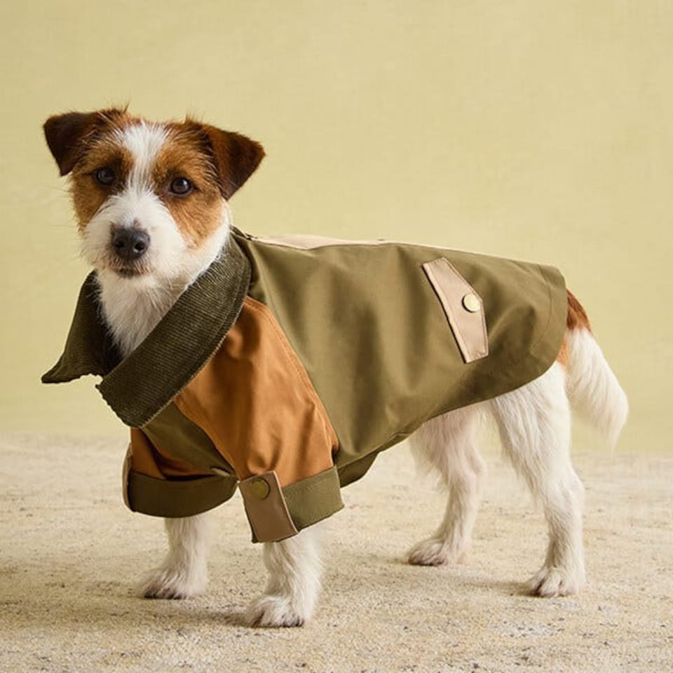 image 1 of Joules Kennington Small Dog Coat